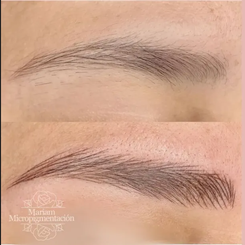 Micropigmentación de cejas