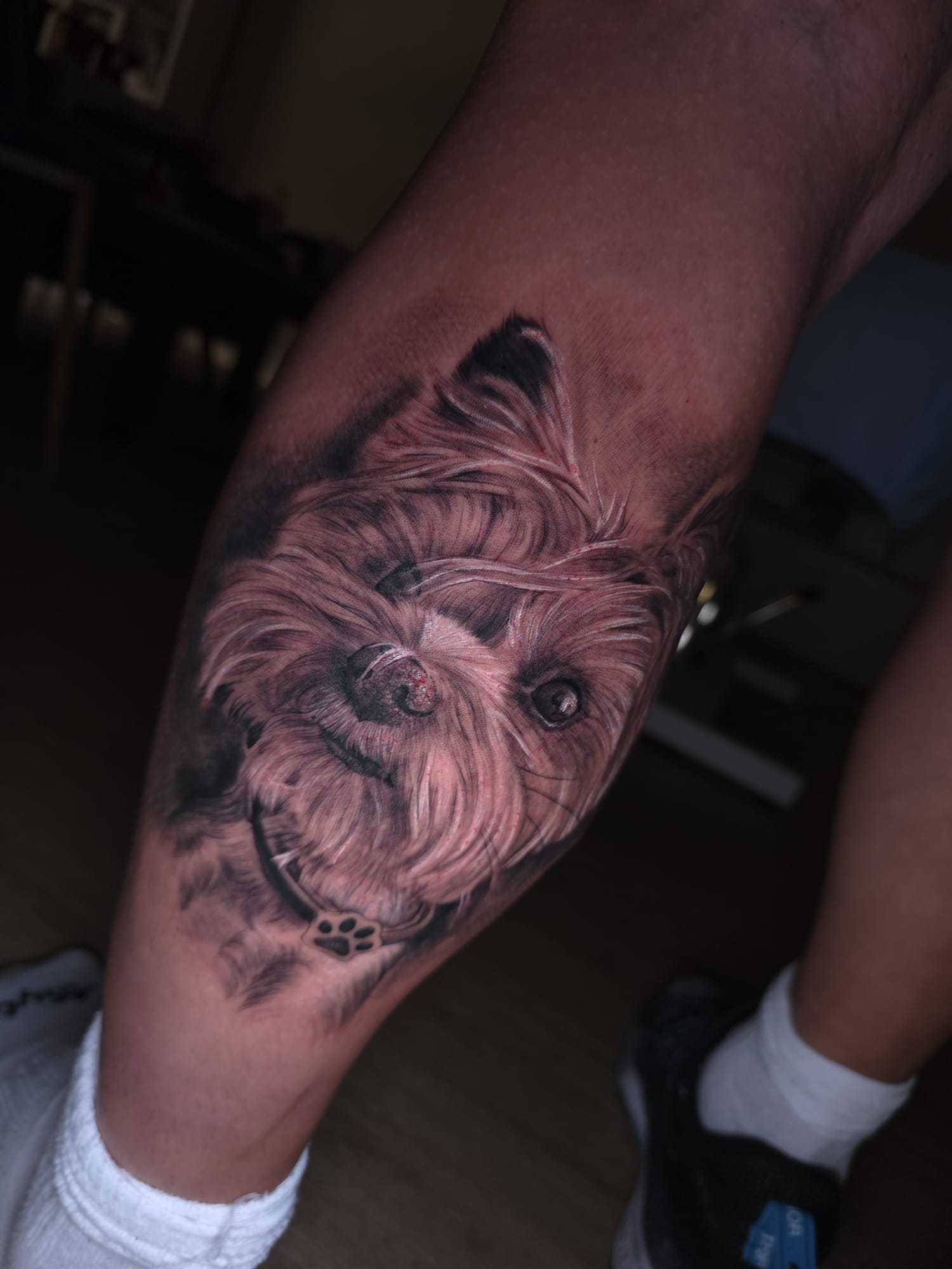 Tattoo Animal 1