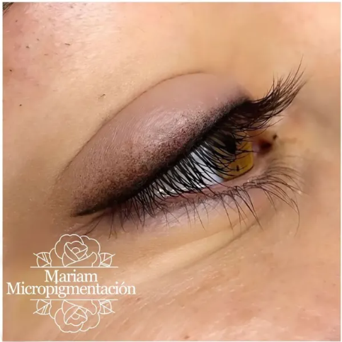 Eyeliner sombreado